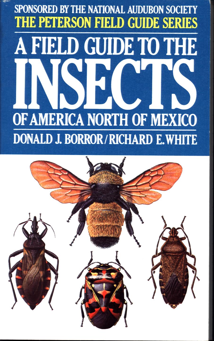 A FIELD GUIDE TO THE INSECTS OF AMERICAN NORTH OF MEXICO.